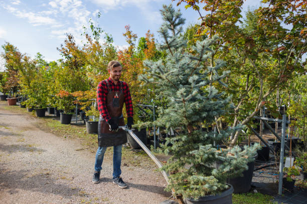 Best Weed Control  in Hicksville, NY